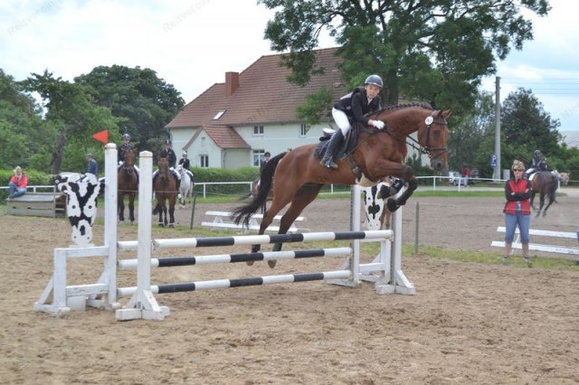 reitertag 2013 51